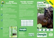 Danish Healthy Tummy leaflet(1) - equistro.dk