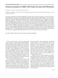 Strong Association of ARK5 with Tumor Invasion and Metastasis