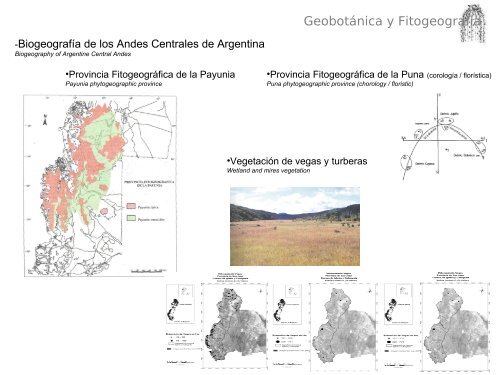 Geobotánica y Fitogeografía - Mendoza CONICET