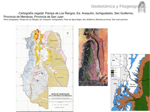 Geobotánica y Fitogeografía - Mendoza CONICET