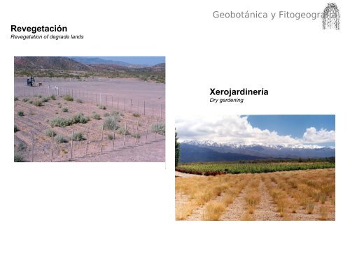 Geobotánica y Fitogeografía - Mendoza CONICET