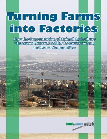 Turning Farms into Factories - Pig Business