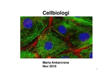 Cellens fysiologi, membran, membrantransport[1].