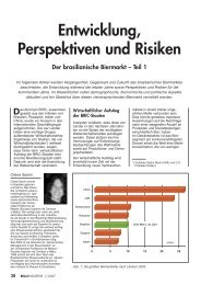 Entwicklung, Perspektiven und Risiken Der ... - Fzarchiv.de