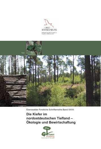 Die Kiefer im nordostdeutschen Tiefland - Landesbetrieb Forst ...