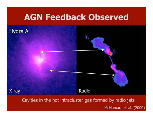 AGN in Clusters of Galaxies - Berkeley Cosmology Group