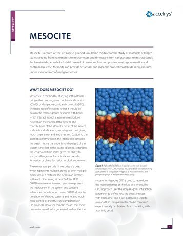 Read the Mesocite Datasheet - Accelrys