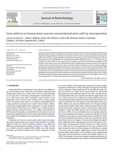 Gene delivery to human bone marrow mesenchymal stem cells by ...