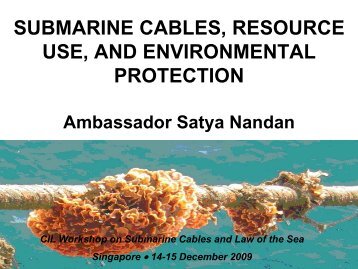 submarine cables, resource use, and environmental protection
