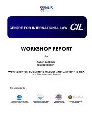 Download in PDF format - Centre for International Law