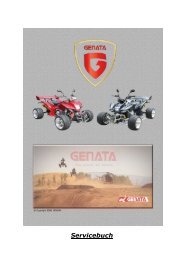 GENATA Servicebuch - genata motor