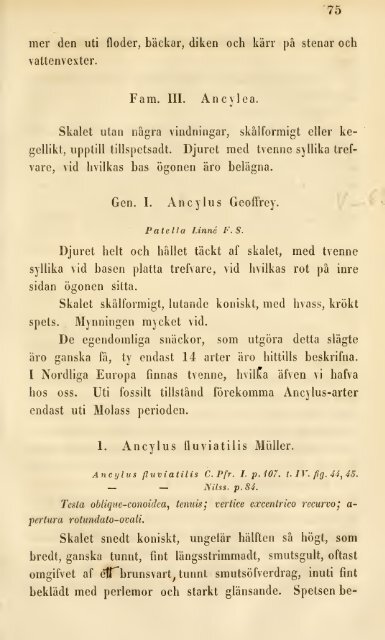 Finlands mollusker beskrifne af A.E. Nordenskiöld .. - Helda