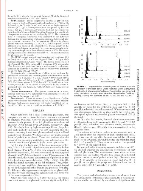 Nutrient Metabolism—Research Communication