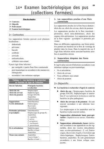 14• Examen bactériologique des pus (collections ... - BACTERIOWEB