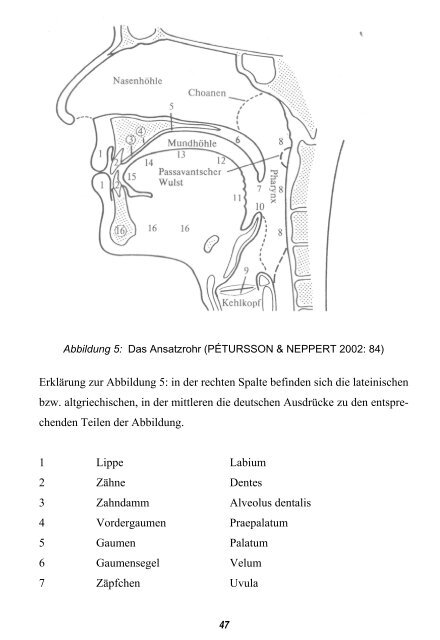 Deutsche Phonetik – eine Einführung - MEK