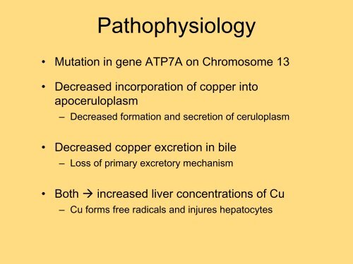 28 Wilson's Disease