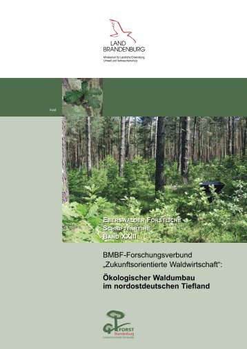 BMBF-Forschungsverbund „Zukunftsorientierte Waldwirtschaft ...