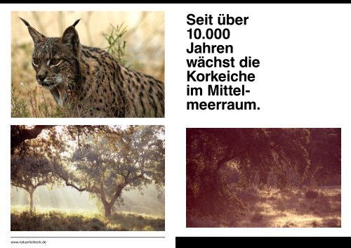 Download "Die Natur.pdf"