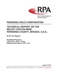 RPA Report