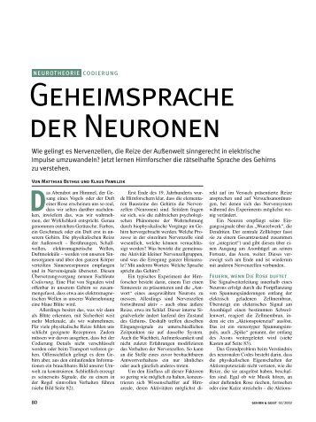 GEHEIMSpRACHE DER NEURONEN