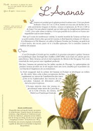 L'ananas