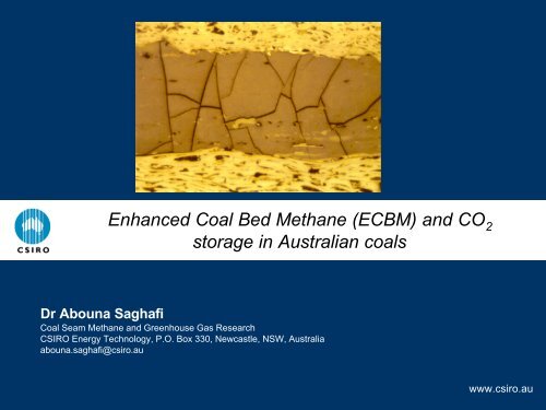 Enhanced Coal Bed Methane (ECBM) - Australian Institute of Energy