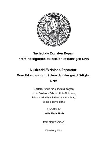 Nucleotide Excision Repair - OPUS - Universität Würzburg