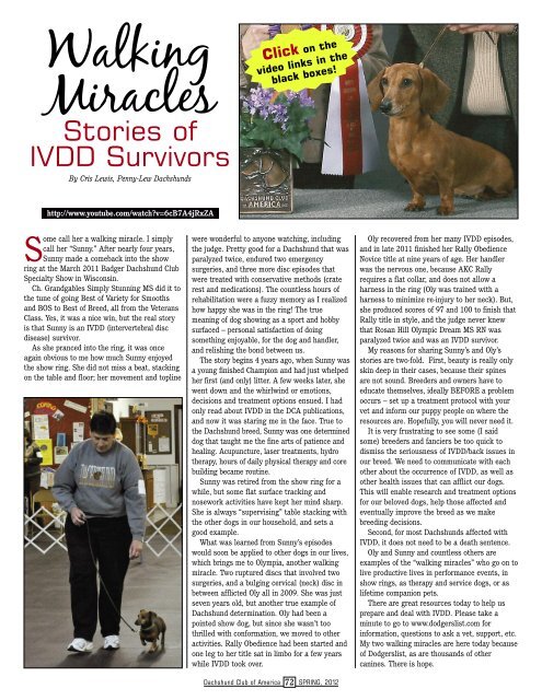 Hope for IVDD Dogs - The Dachshund Club of America, Inc.