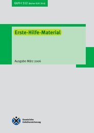 GUV-Information Erste-Hilfe-Material GUV-I 512