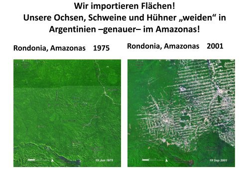 Ökologischer Fußabdruck