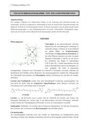 säulenchromatographie von pflanzenpigmenten - Organische und ...