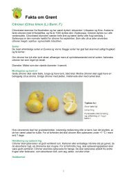 Citroner - FoodSam