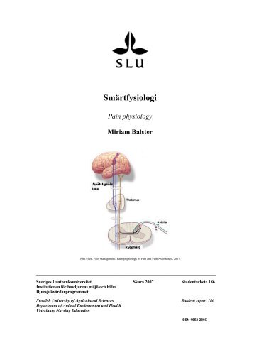 Smärtfysiologi