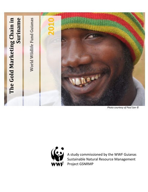 The Gold Marketing Chain in Suriname - WWF, Abu Dhabi unveil ...