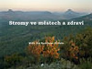 Stromy ve m?stech o?ima hygienika1.84 MB - Arnika