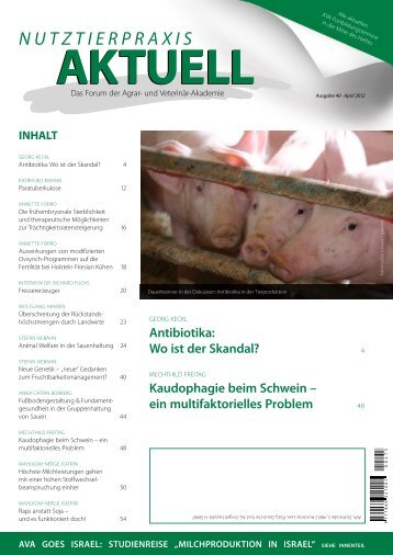 kaudophagie beim Schwein - Animal-Health-Online