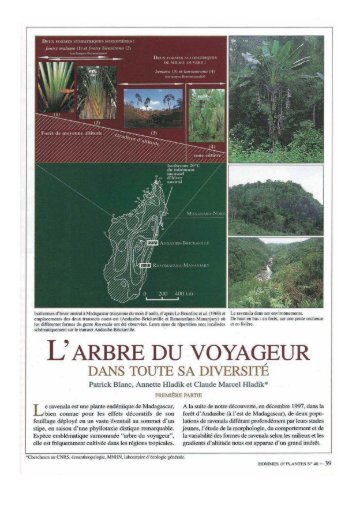 L'ARBRE DU VOYAGEUR - HAL - Univ Diderot