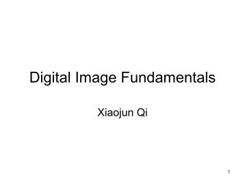 Digital Images Fundamentals