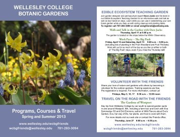 2013 Spring-Summer Program Brochure - Wellesley College