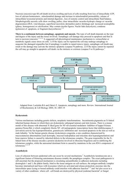 Dyskeratotic, apoptotic or acantholytic keratinocytes? How to ...