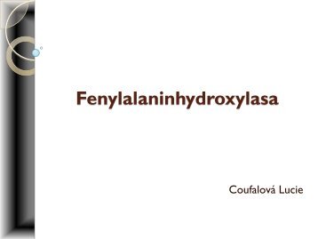 Fenylalaninhydroxylasa