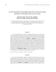 In situ fossil hermit crabs - Revista Mexicana de Ciencias Geológicas