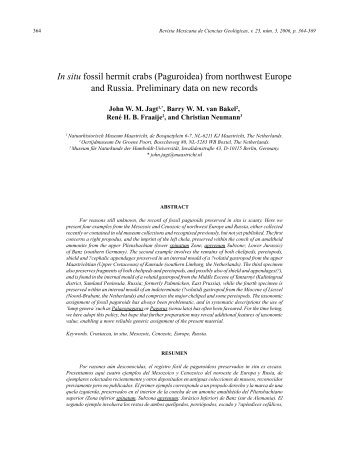 In situ fossil hermit crabs - Revista Mexicana de Ciencias Geológicas