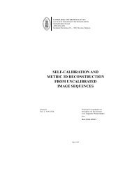 Metric 3d Reconstruction From Uncalibrated Image Sequences