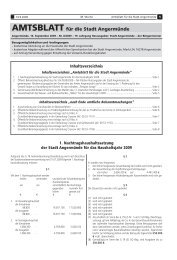 Amtsblatt für die Stadt Angermünde - Nr. 08/2009