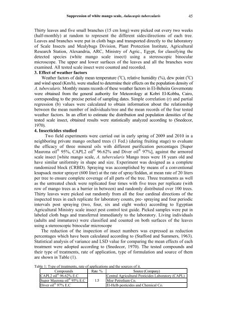 Suppression of white mango scale, Aulacaspis tubercularis ...