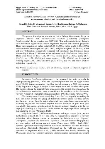 Effect of Saccharicoccus sacchari (Cockerell) infestation levels on ...