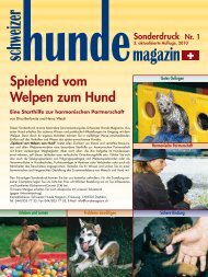 Spielend vom Welpen zum Hund - Schweizer Hunde Magazin