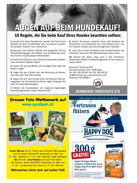 Spielend vom Welpen zum Hund