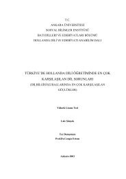 türkiye'de hollanda dili öğretiminde en çok karşılaşılan dil sorunları